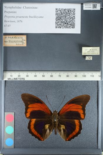 Media type: image;   Entomology 163482